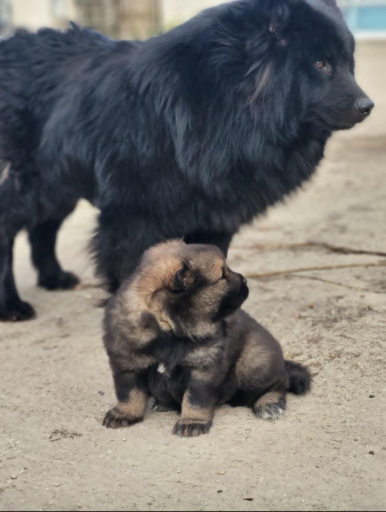 Des bébés pour bientot?